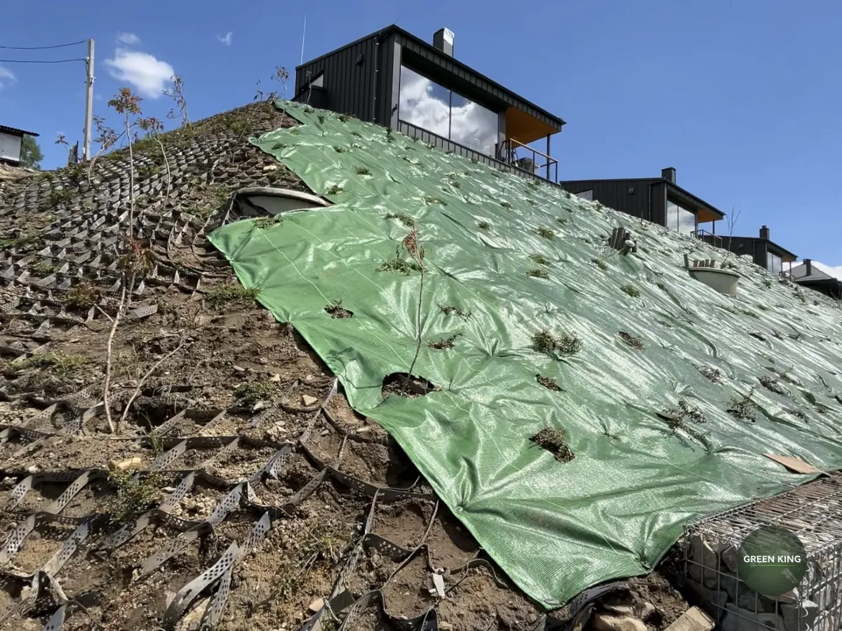 Гірський схил: після