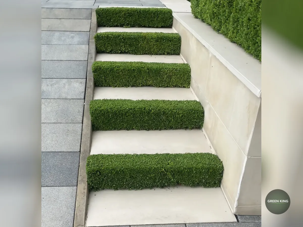 Догляд за кущами та рослинами