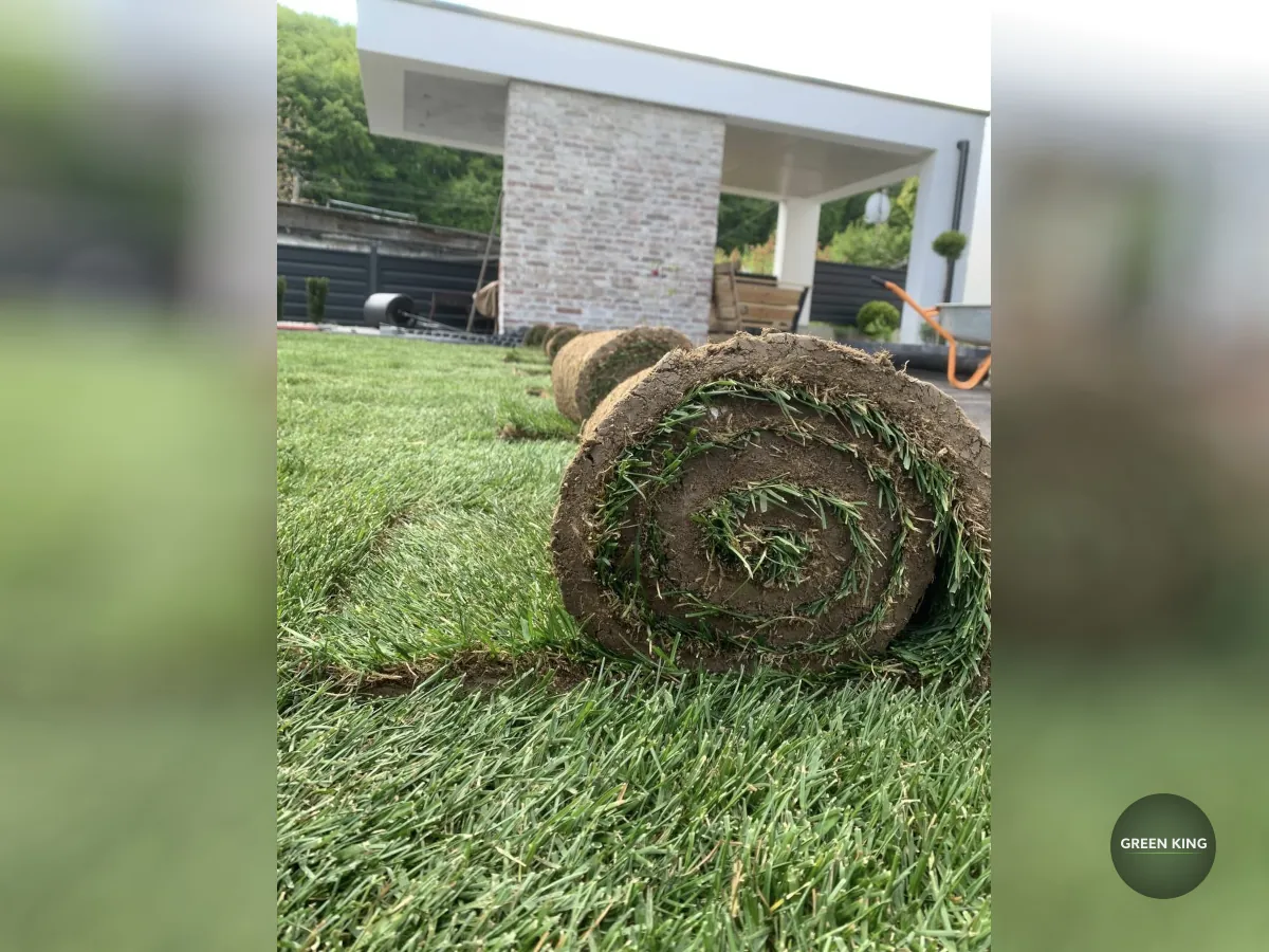 Укладання рудлнного газону