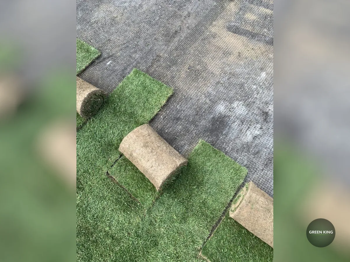 Укладання рудлнного газону